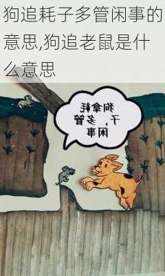 狗追耗子多管闲事的意思,狗追老鼠是什么意思