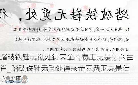 踏破铁鞋无觅处得来全不费工夫是什么生肖_踏破铁鞋无觅处得来全不费工夫是什么意思