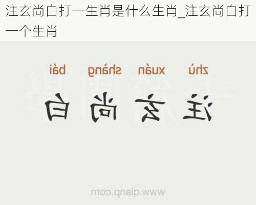注玄尚白打一生肖是什么生肖_注玄尚白打一个生肖
