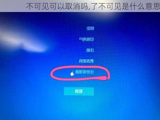 不可见可以取消吗,了不可见是什么意思