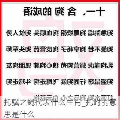 托骥之蝇代表什么生肖_托咐的意思是什么