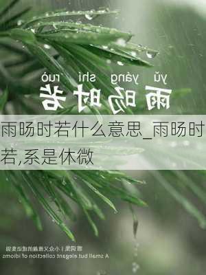 雨旸时若什么意思_雨旸时若,系是休微