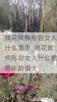 残花败柳形容女人什么意思_残花败柳形容女人什么意思年龄偏大