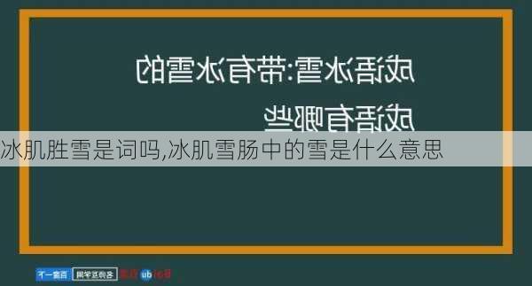 冰肌胜雪是词吗,冰肌雪肠中的雪是什么意思