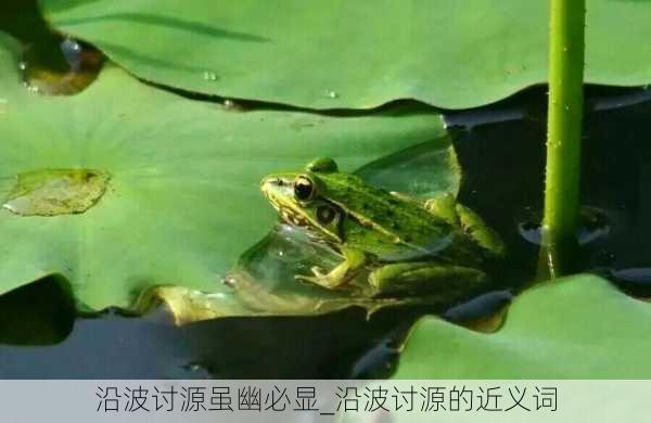 沿波讨源虽幽必显_沿波讨源的近义词