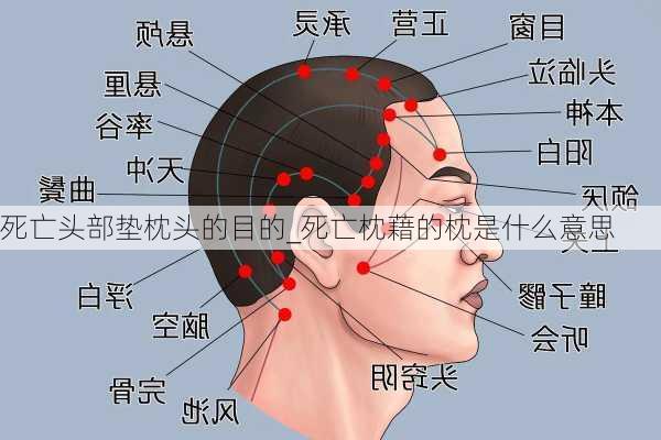 死亡头部垫枕头的目的_死亡枕藉的枕是什么意思