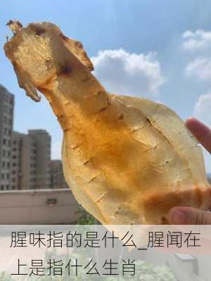 腥味指的是什么_腥闻在上是指什么生肖