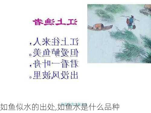 如鱼似水的出处,如鱼水是什么品种