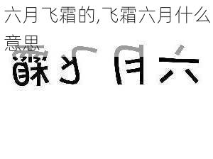 六月飞霜的,飞霜六月什么意思