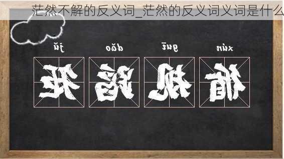 茫然不解的反义词_茫然的反义词义词是什么