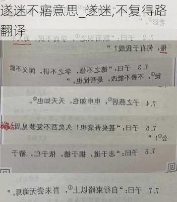 遂迷不寤意思_遂迷,不复得路翻译