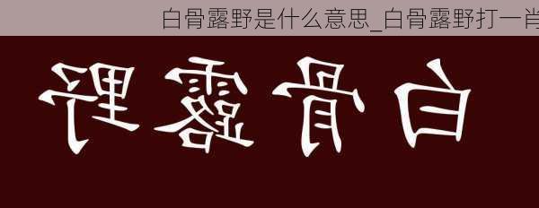 白骨露野是什么意思_白骨露野打一肖