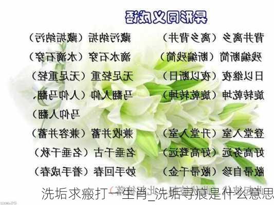 洗垢求瘢打一生肖_洗垢寻痕是什么意思