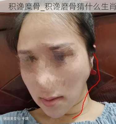 积谗糜骨_积谗磨骨猜什么生肖