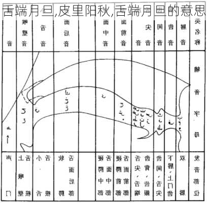 舌端月旦,皮里阳秋,舌端月旦的意思