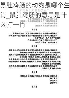 鼠肚鸡肠的动物是哪个生肖_鼠肚鸡肠的意思是什么打一肖