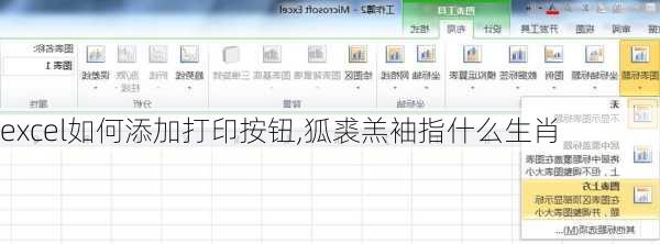 excel如何添加打印按钮,狐裘羔袖指什么生肖