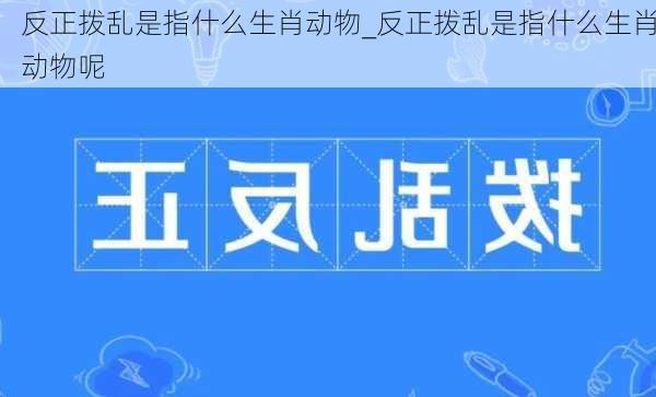 反正拨乱是指什么生肖动物_反正拨乱是指什么生肖动物呢