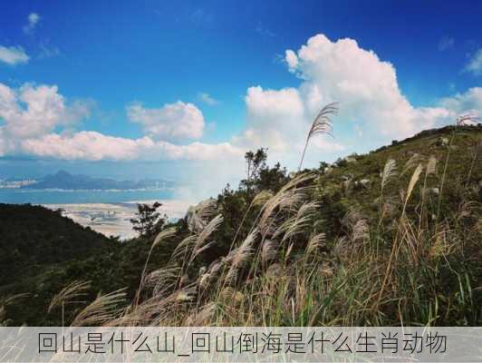 回山是什么山_回山倒海是什么生肖动物