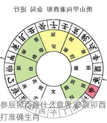 参辰卯酉是什么意思,参辰卯酉打准确生肖