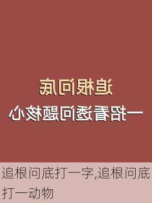 追根问底打一字,追根问底打一动物