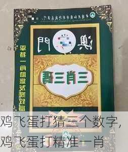 鸡飞蛋打猜三个数字,鸡飞蛋打精准一肖