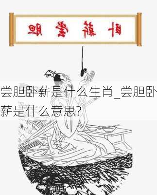 尝胆卧薪是什么生肖_尝胆卧薪是什么意思?