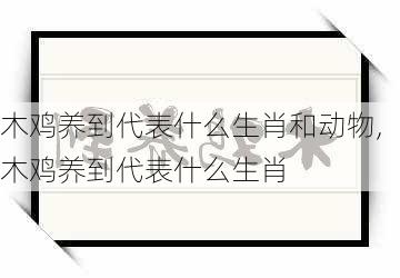 木鸡养到代表什么生肖和动物,木鸡养到代表什么生肖