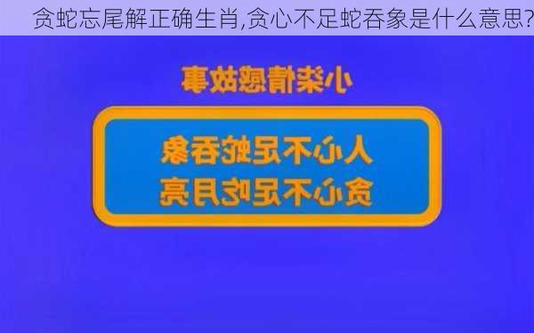 贪蛇忘尾解正确生肖,贪心不足蛇吞象是什么意思?