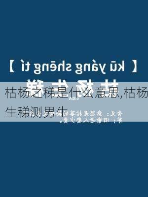 枯杨之稊是什么意思,枯杨生稊测男生