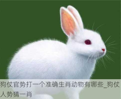 狗仗官势打一个准确生肖动物有哪些_狗仗人势猜一肖