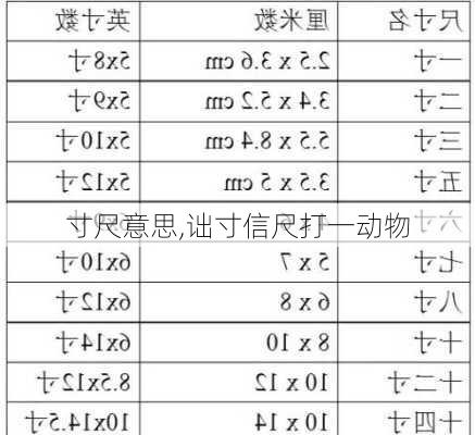 寸尺意思,诎寸信尺打一动物