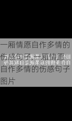 一厢情愿自作多情的伤感句子,一厢情愿自作多情的伤感句子图片