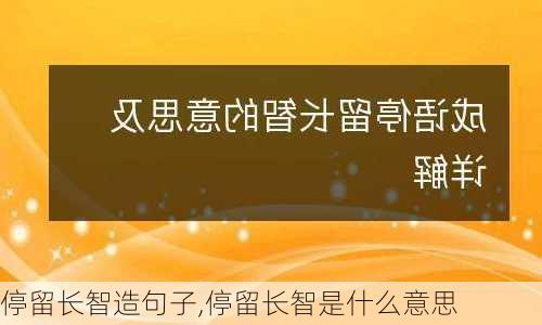 停留长智造句子,停留长智是什么意思