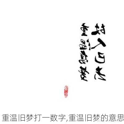 重温旧梦打一数字,重温旧梦的意思