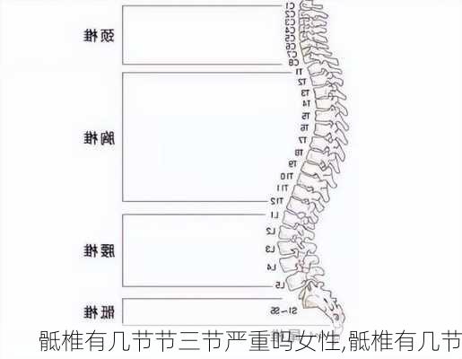 骶椎有几节节三节严重吗女性,骶椎有几节