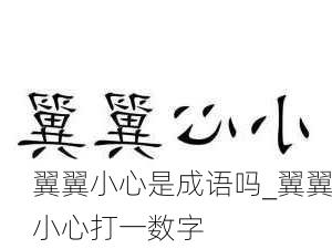 翼翼小心是成语吗_翼翼小心打一数字