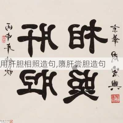 用肝胆相照造句,隳肝尝胆造句