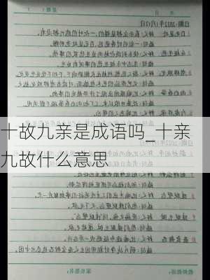 十故九亲是成语吗_十亲九故什么意思