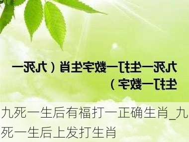 九死一生后有福打一正确生肖_九死一生后上发打生肖