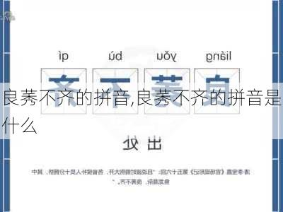 良莠不齐的拼音,良莠不齐的拼音是什么