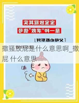 撒骚放屁是什么意思啊_撒屁 什么意思