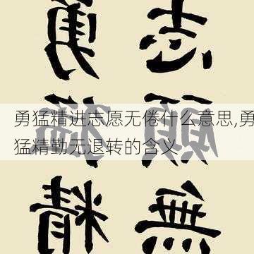 勇猛精进志愿无倦什么意思,勇猛精勤无退转的含义