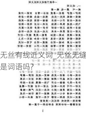 无丝有线近义词_无丝无缝是词语吗?