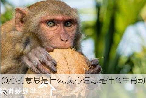 负心的意思是什么,负心违愿是什么生肖动物