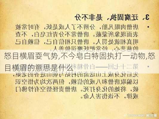 怒目横眉耍气势,不今皂白特固执打一动物,怒目横眉的意思是什么