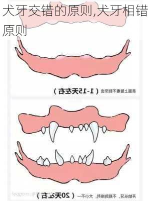 犬牙交错的原则,犬牙相错原则