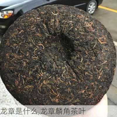 龙章是什么,龙章麟角茶叶