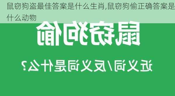 鼠窃狗盗最佳答案是什么生肖,鼠窃狗偷正确答案是什么动物