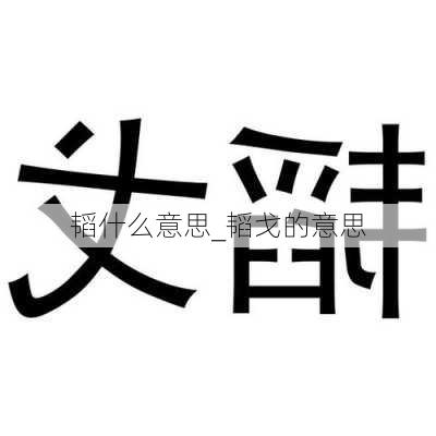 韬什么意思_韬戈的意思